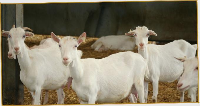 Three Kids