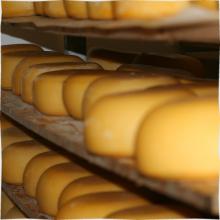 St Tola Hard Goat Cheese on shelves