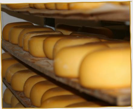 St Tola Hard Cheese Wooden Shelf