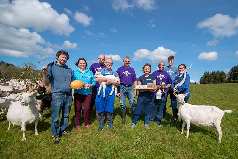 The St Tola team in the field with the herd