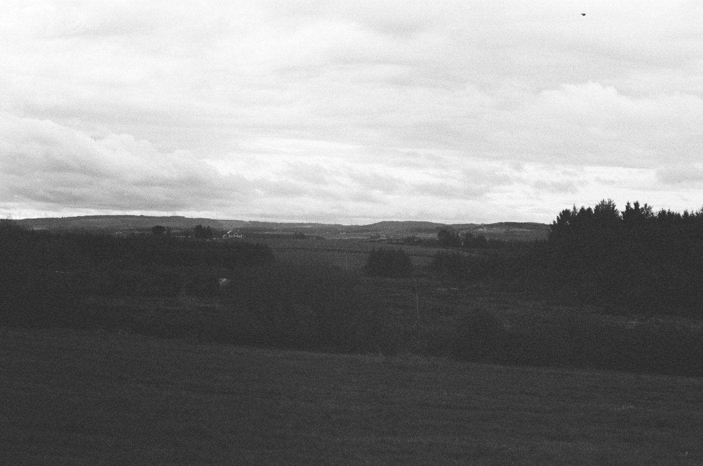 The Clare countryside on Tri-X film