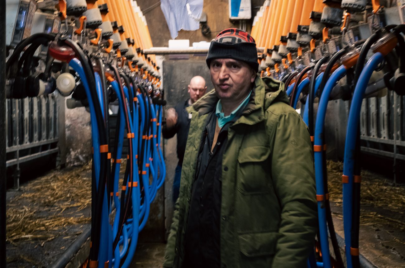 A farmer among the goats