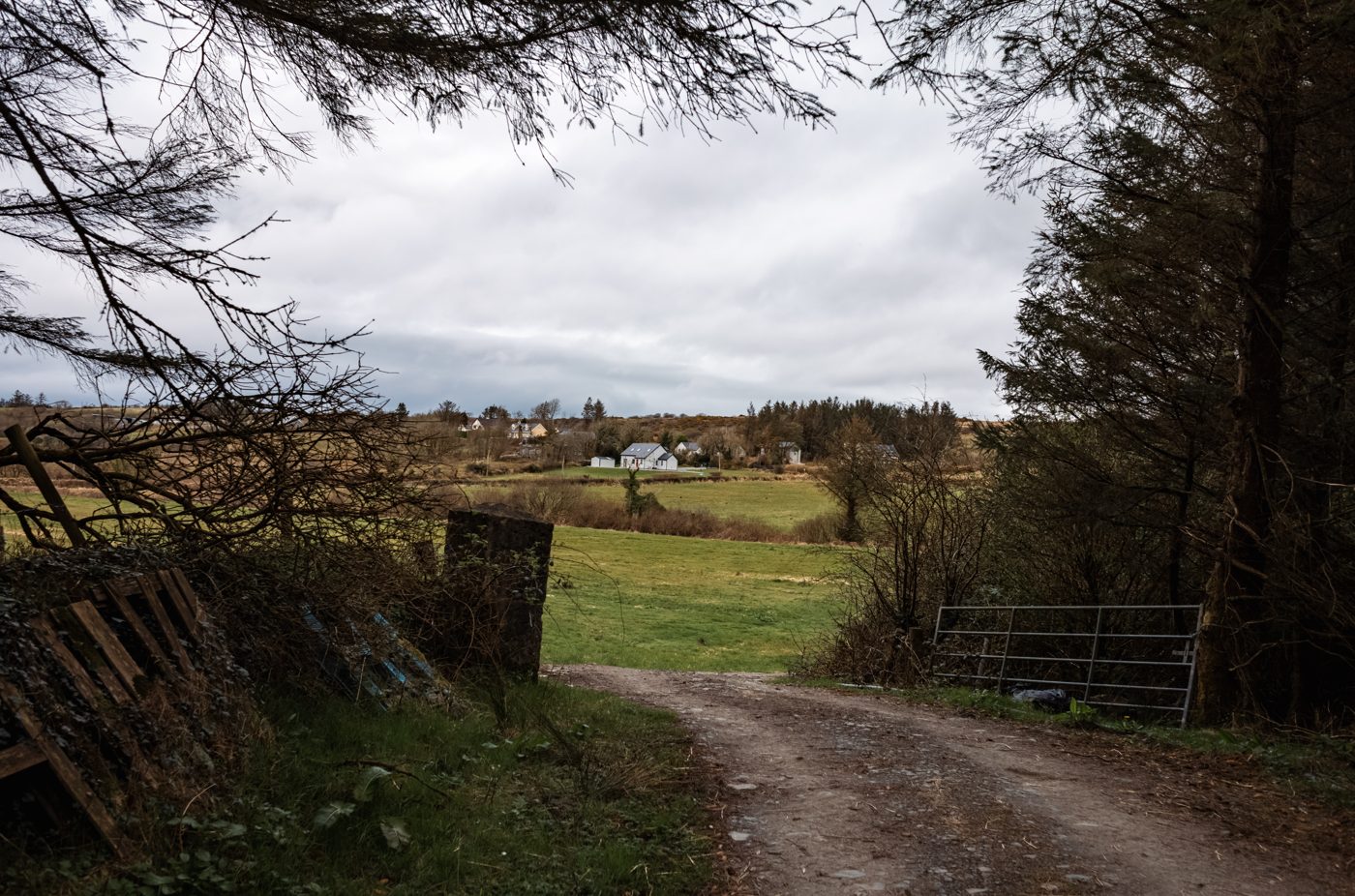 The green pastures of west Clare