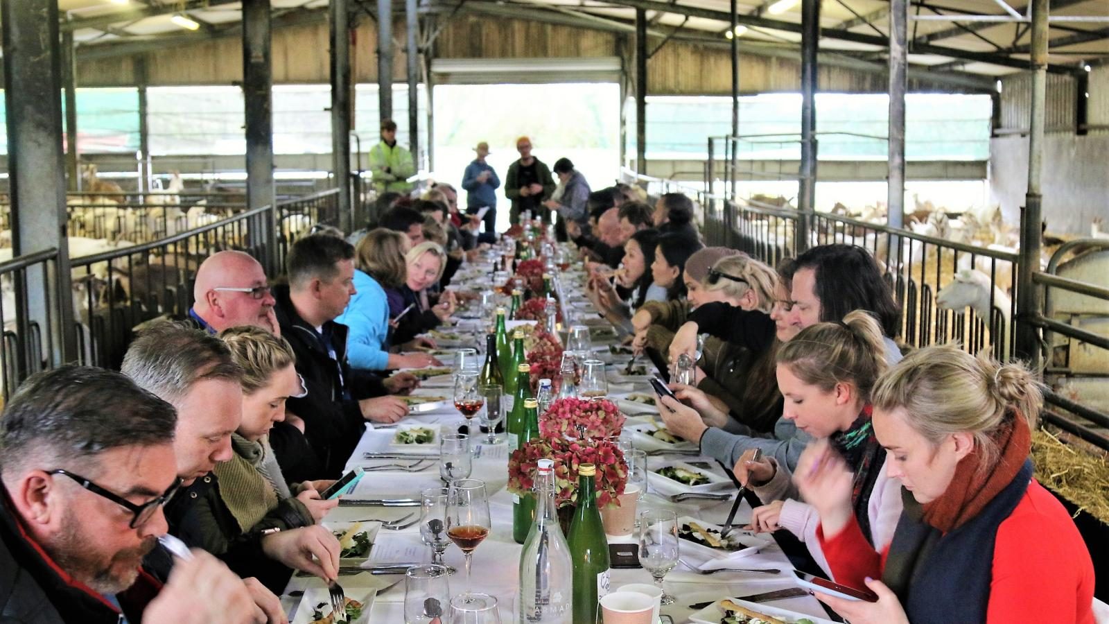 FOTE lunch
