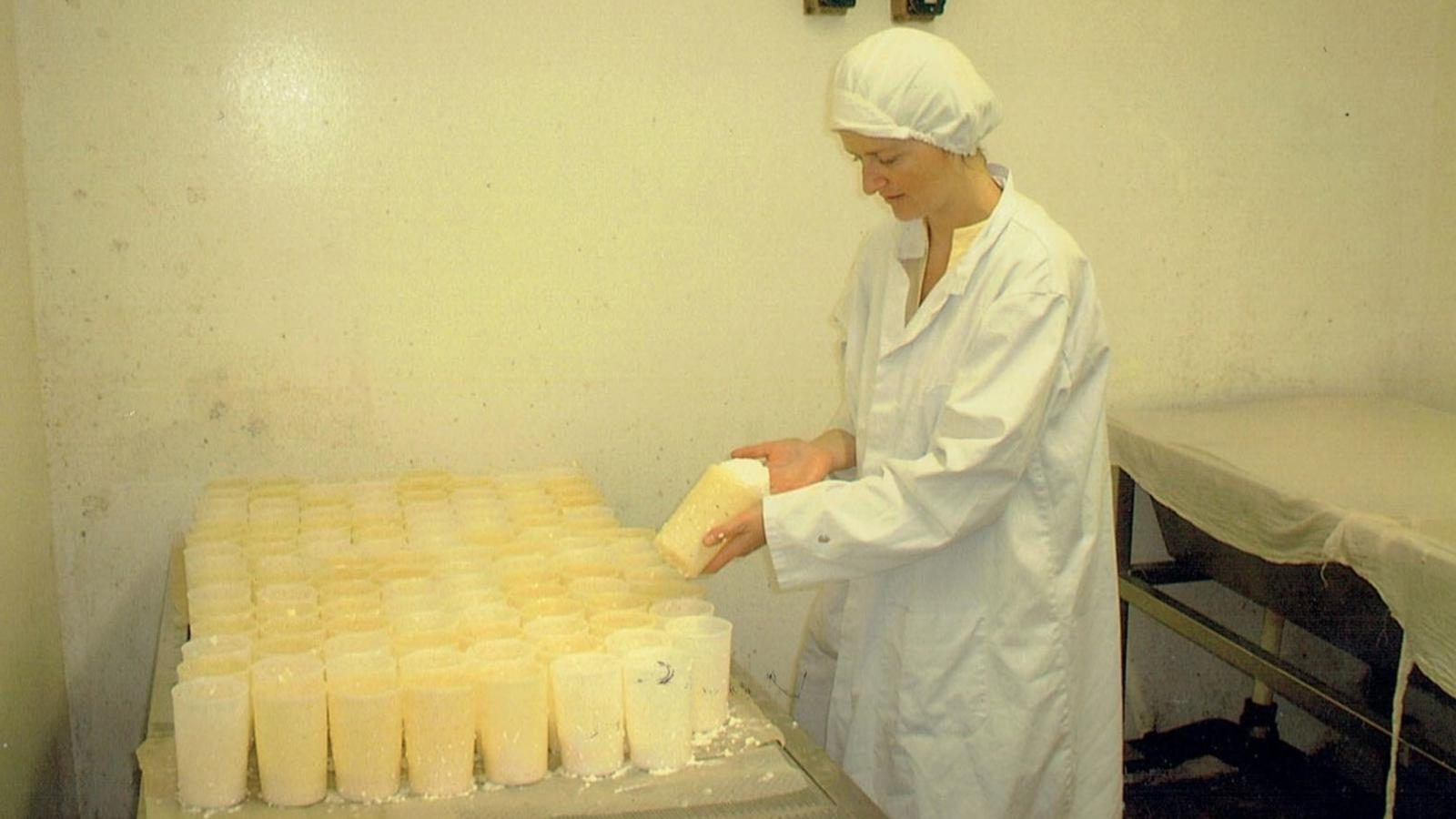 Siobhán Learning Cheesemaking